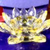 Đế Sen lớn